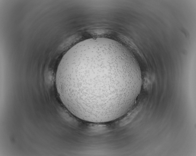 X0000112970476200909171322