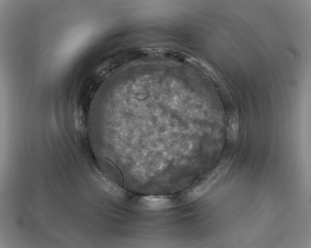 X0000112970477200909171322