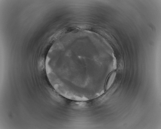 X0000112970478200909171322