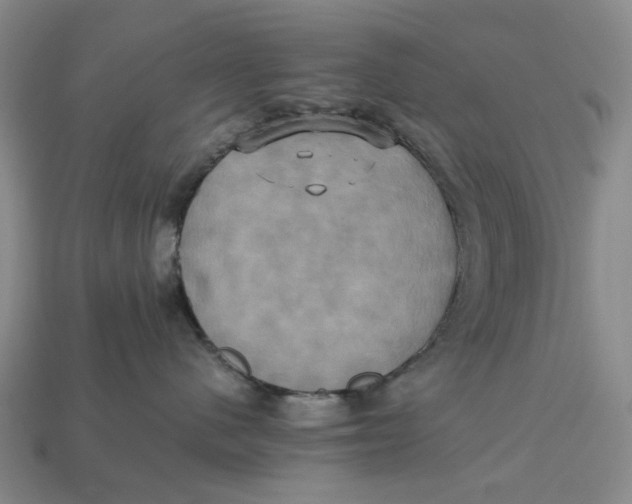 X0000112970480200909171322