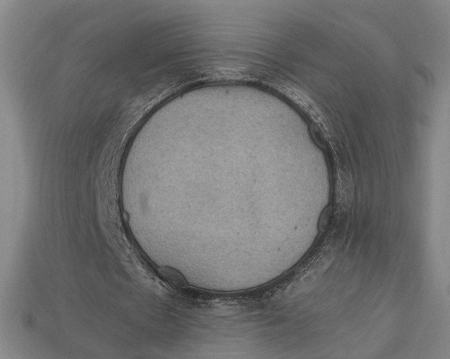 X0000112970481200909171321