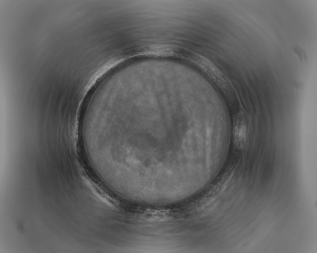 X0000112970484200909171321