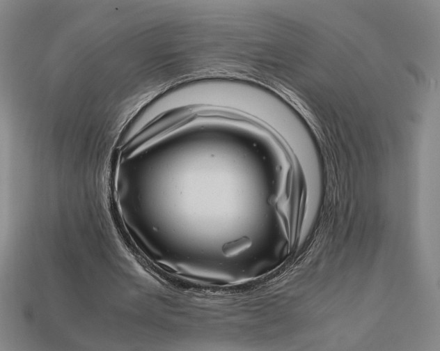 X0000112970485200909171321