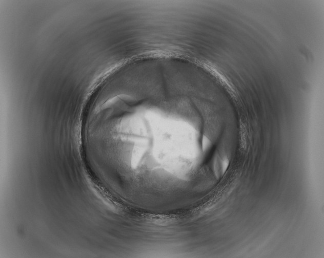 X0000112970486200909171321