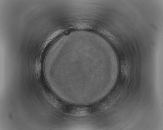 X0000112970488200909171321