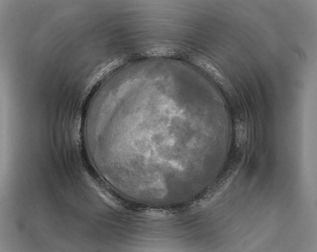 X0000112970490200909171321