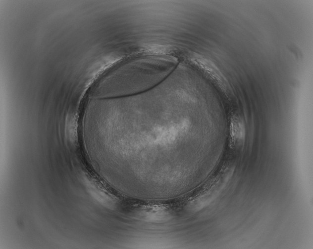 X0000112970492200909171321