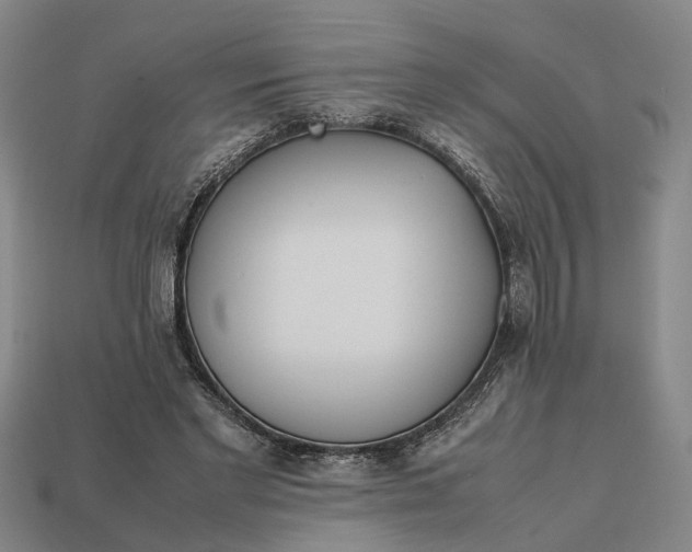 X0000112970493200909171321