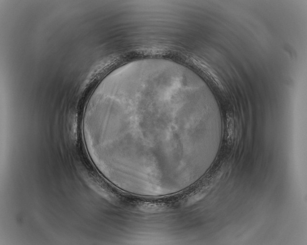 X0000112970494200909171321