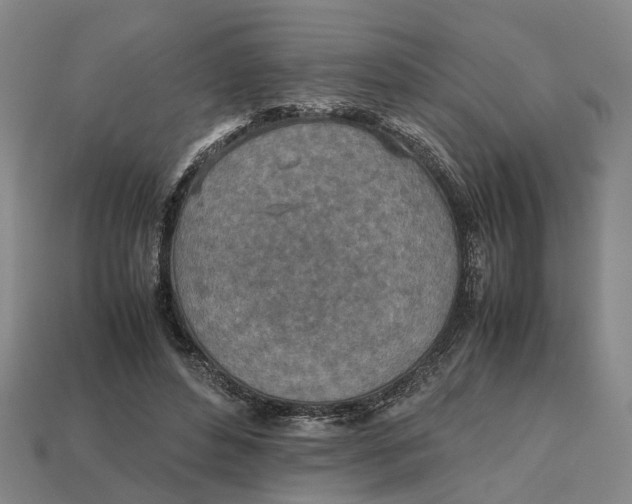 X0000112970496200909171321