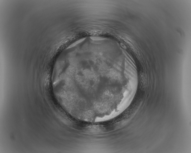 X0000112970499200909171321