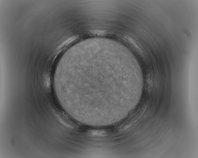 X0000112970500200909171321