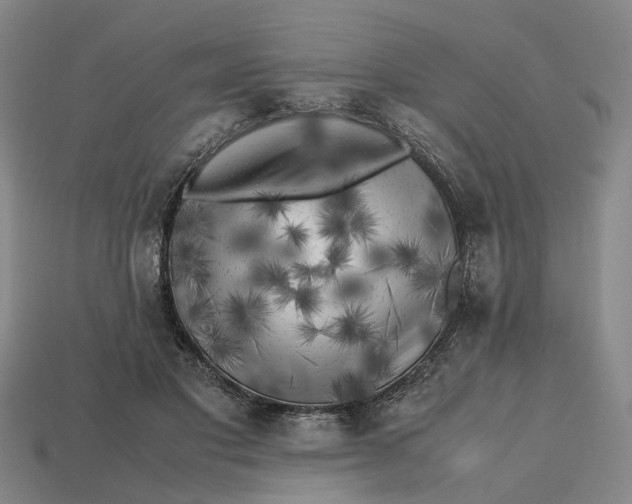 X0000112970501200909171321