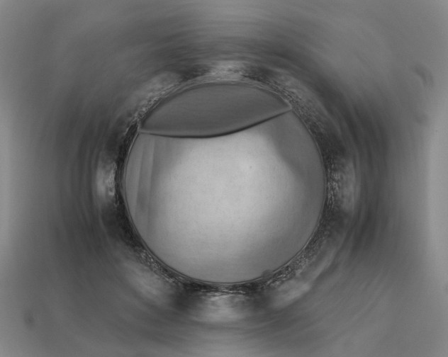 X0000112970504200909171321