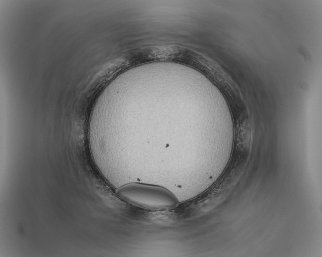 X0000112970505200909171321