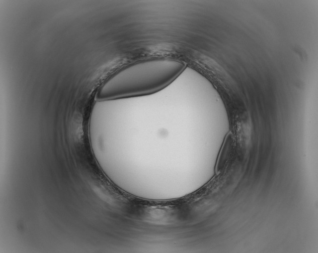 X0000112970508200909171321