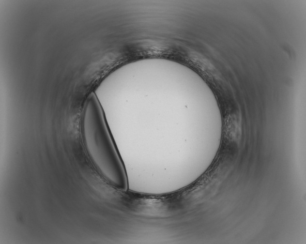 X0000112970509200909171321