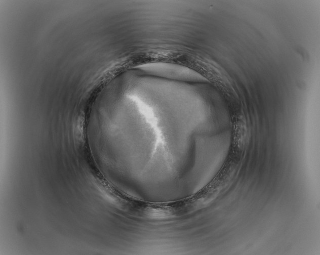 X0000112970510200909171321