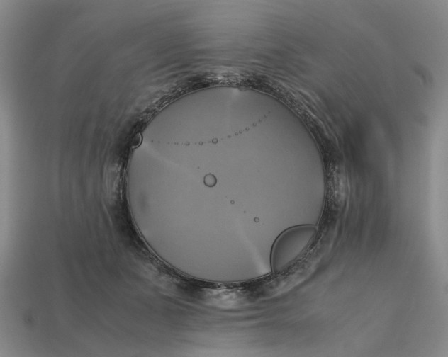 X0000112970511200909171321