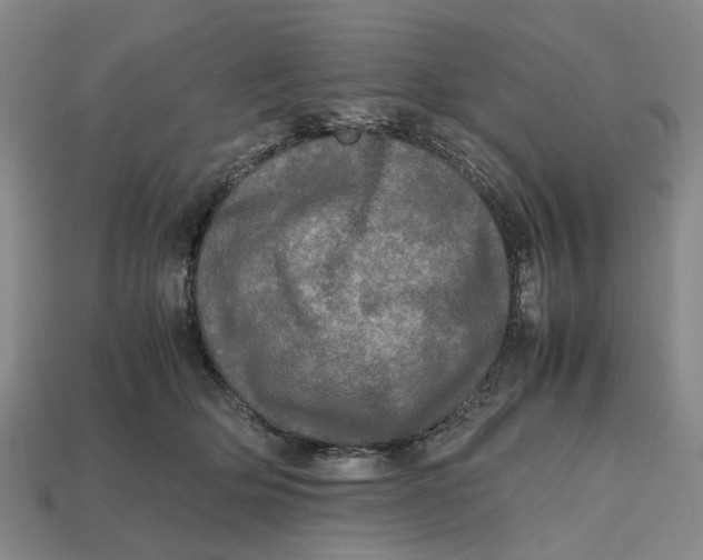 X0000112970514200909171321