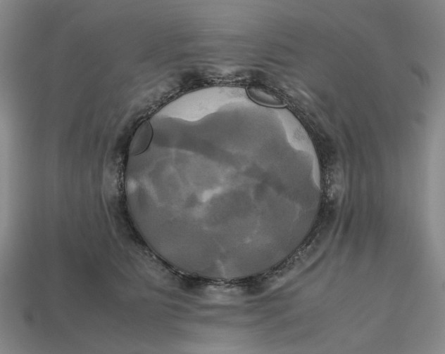 X0000112970515200909171321