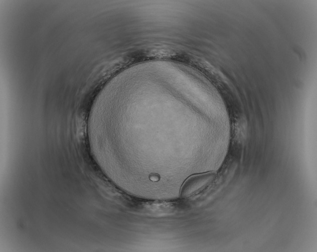 X0000112970517200909171321