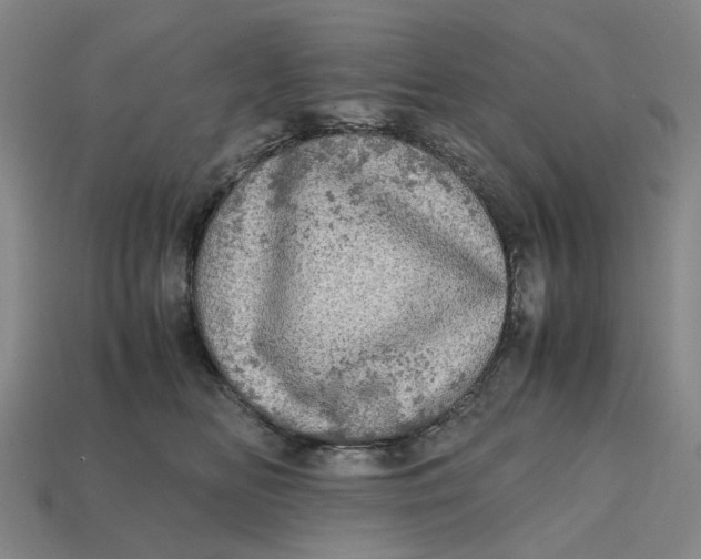 X0000112970518200909171321