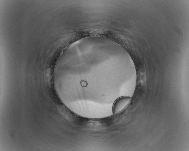 X0000112970519200909171321