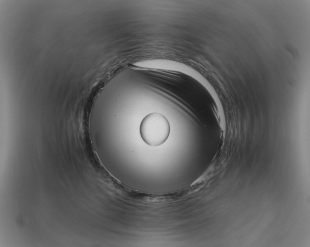 X0000112970520200909171321