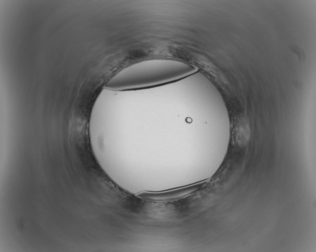 X0000112970521200909171321