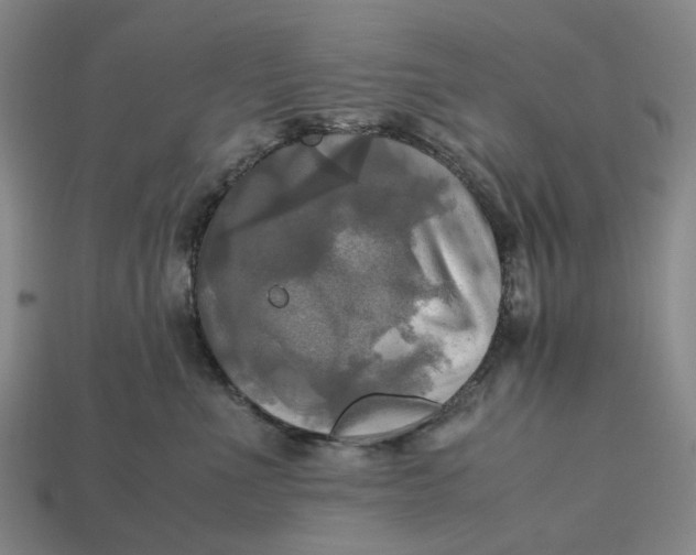 X0000112970523200909171321