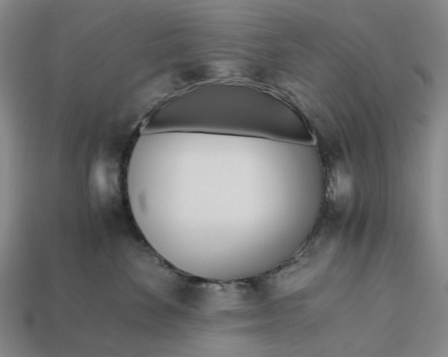 X0000112970524200909171321