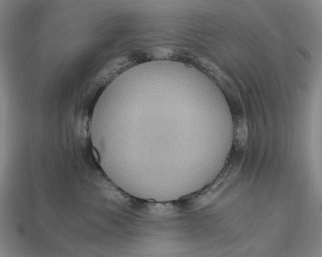 X0000112970525200909171321