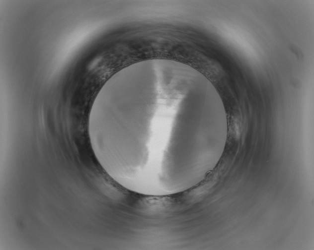 X0000112970526200909171321