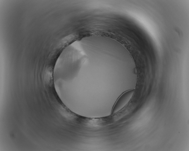 X0000112970527200909171321