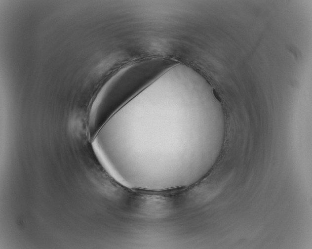 X0000112970528200909171321