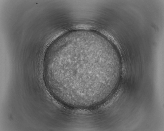 X0000112970529200909171320