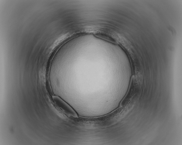 X0000112970530200909171320