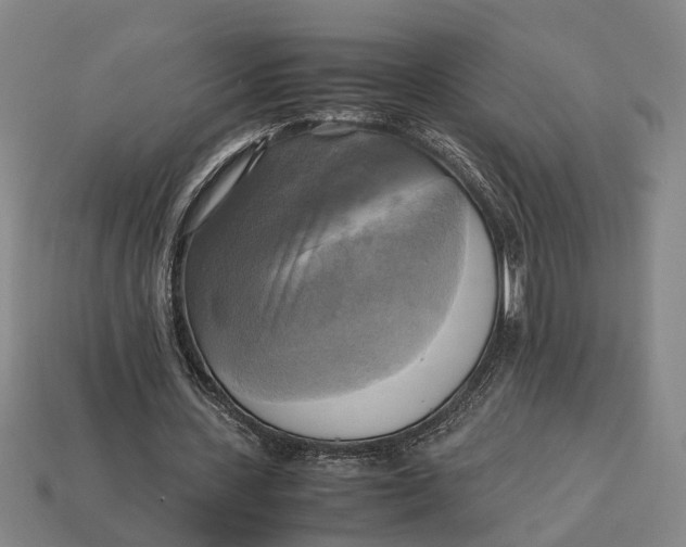 X0000112970531200909171320