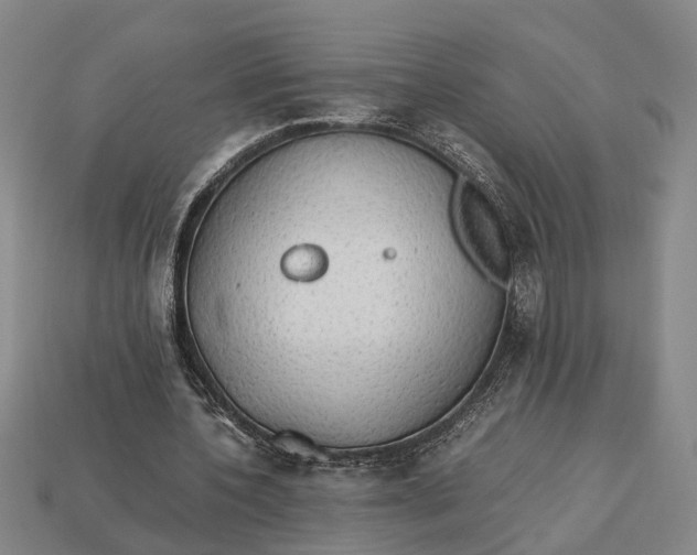 X0000112970532200909171320