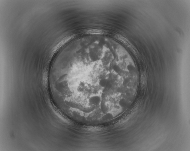 X0000112970533200909171320