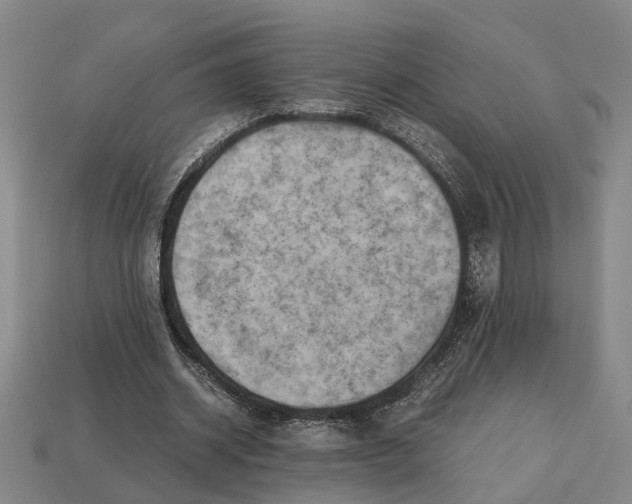 X0000112970534200909171320