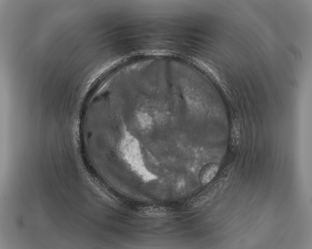 X0000112970535200909171320