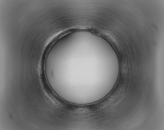 X0000112970536200909171320