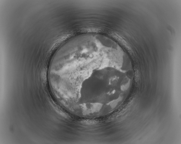 X0000112970537200909171320