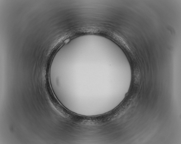 X0000112970538200909171320