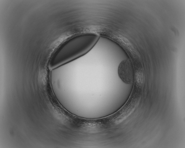 X0000112970540200909171320