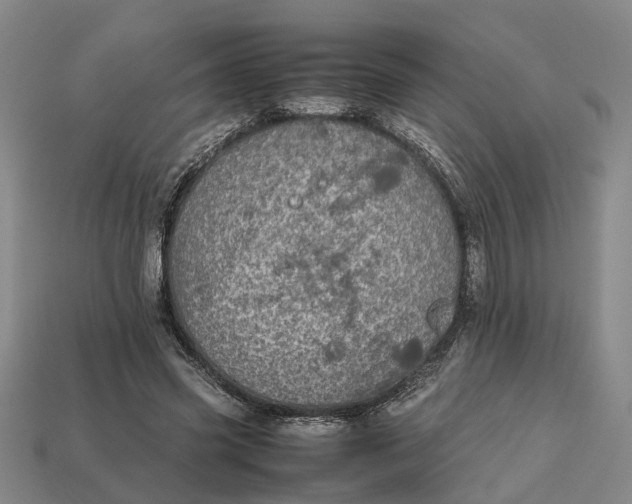 X0000112970541200909171320