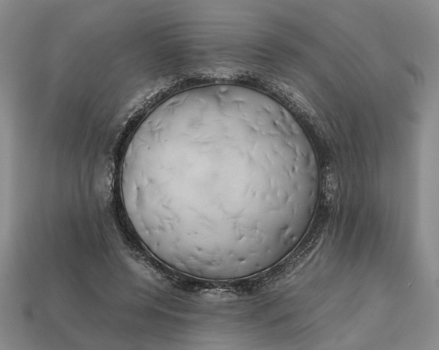 X0000112970544200909171320