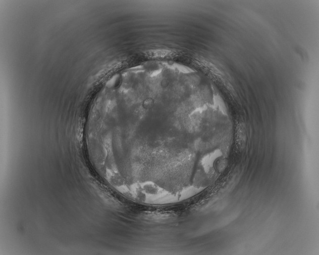 X0000112970545200909171320